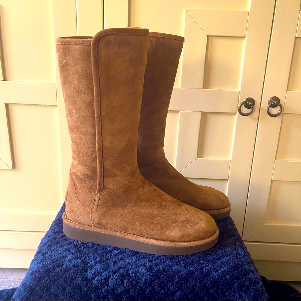 UGG Abree | Bruno Suede Zip Tall Boots NWT